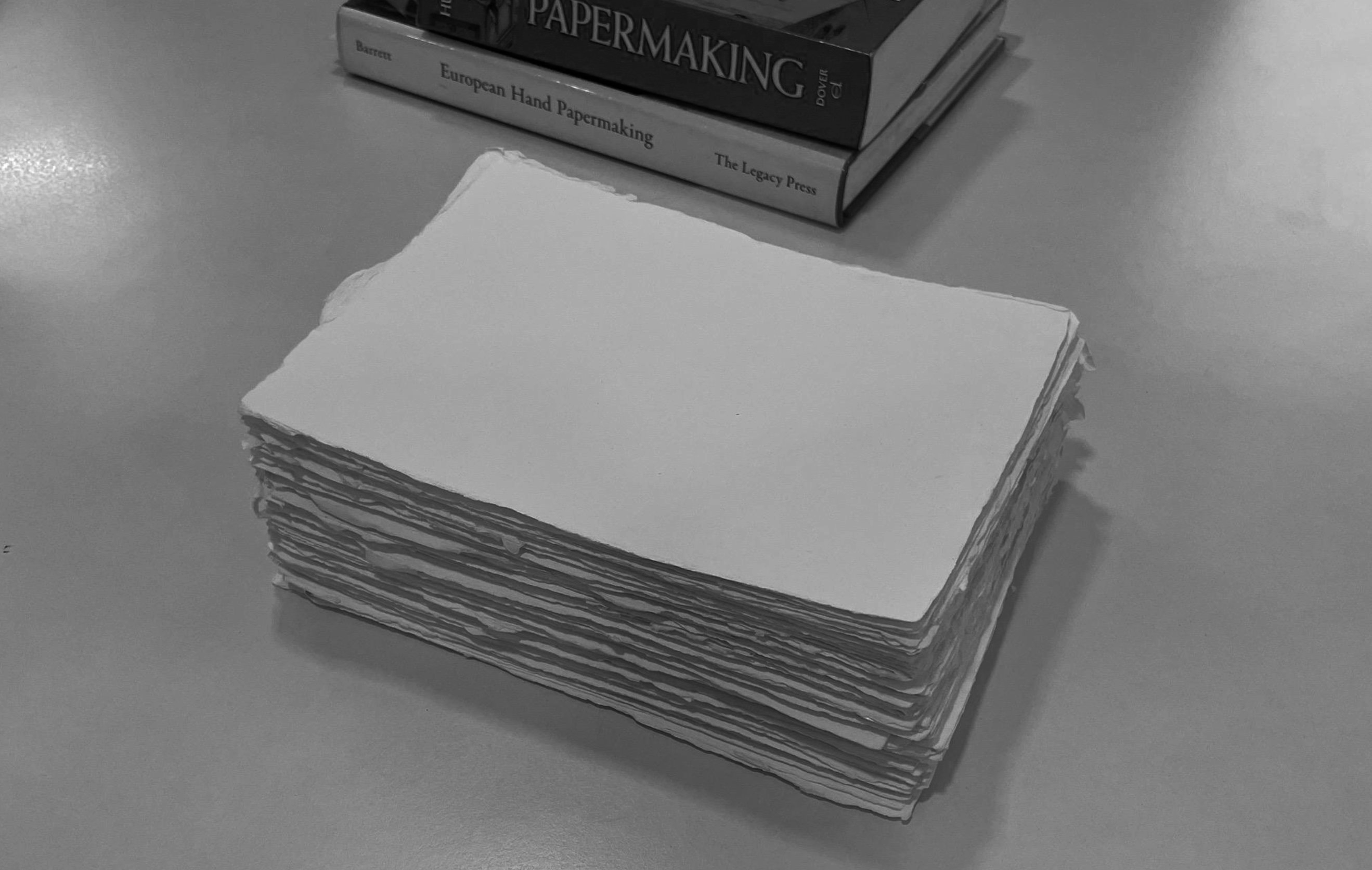 Sri Aurobindo Handmade Paper factory - paper lifting