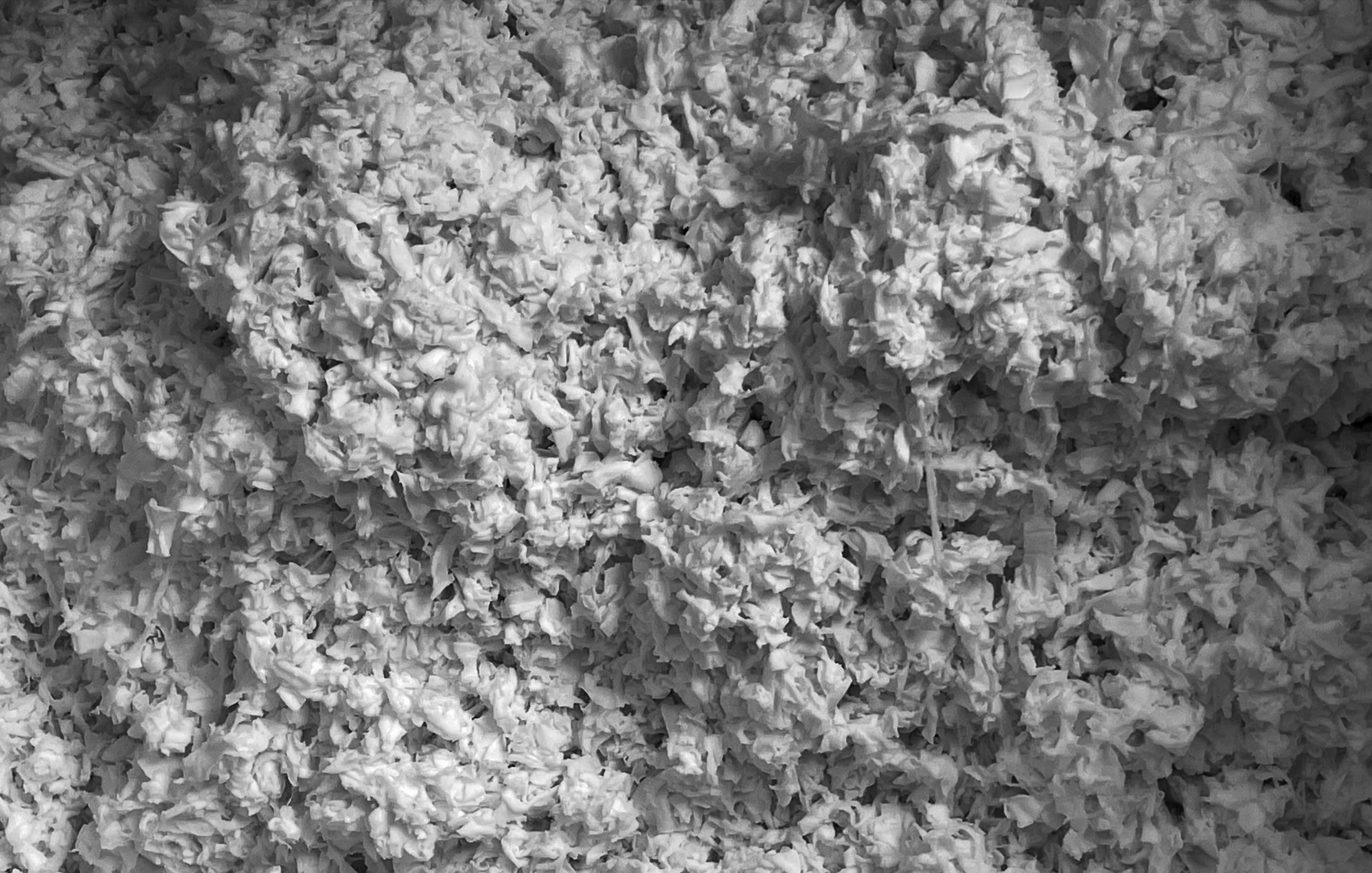 Sri Aurobindo Handmade Paper factory - paper lifting